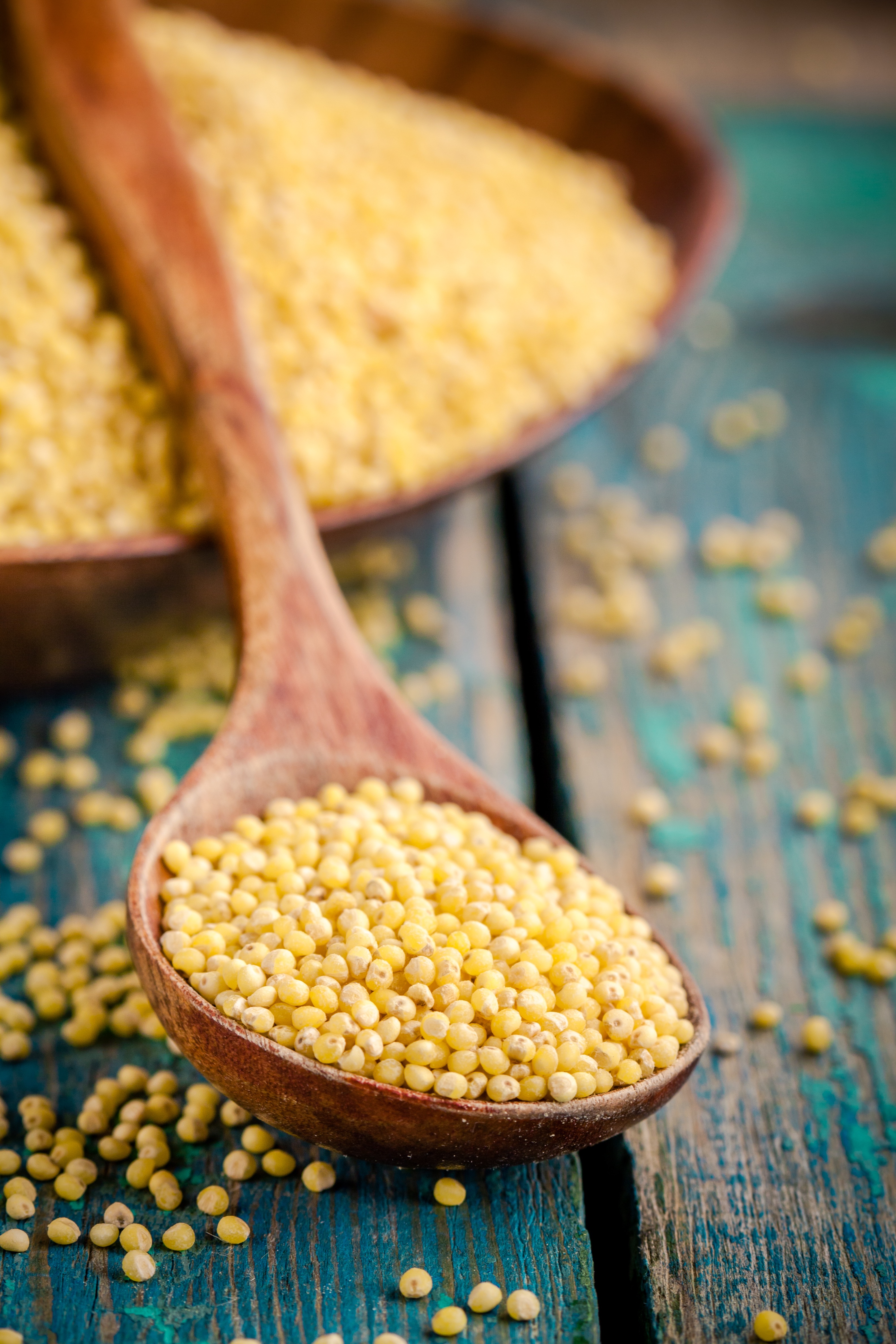 Grains / Pulses